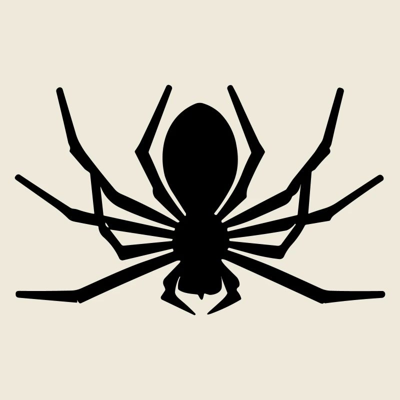 Spinne