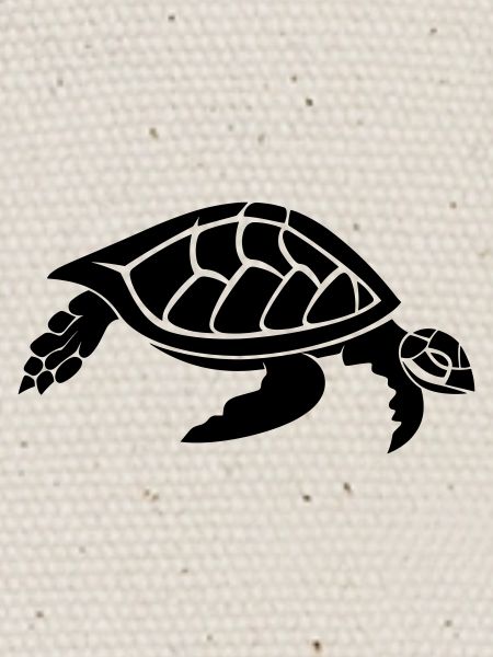 tortoise