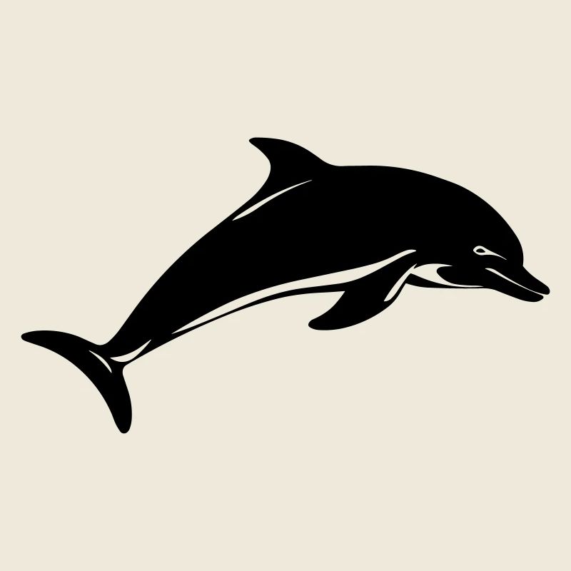 Baby dolphin