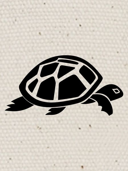 Tortoise