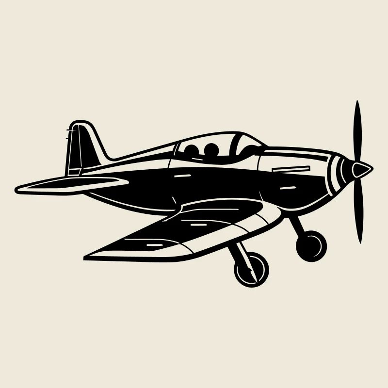 Avion de chasse