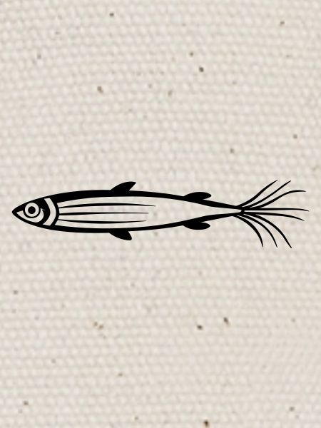 poisson