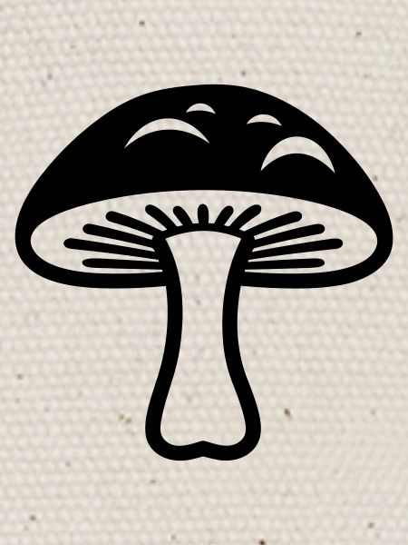 champignon