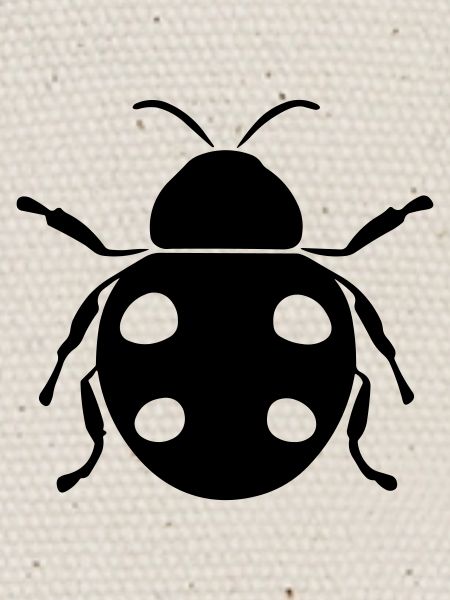 Ladybug