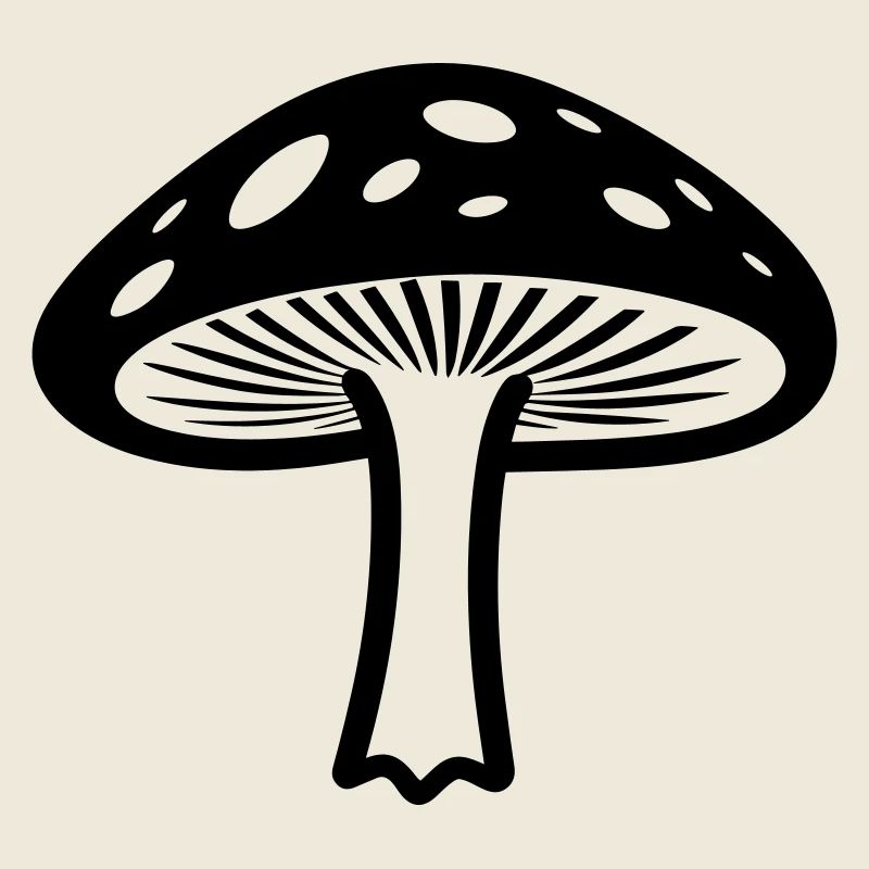 Pilz