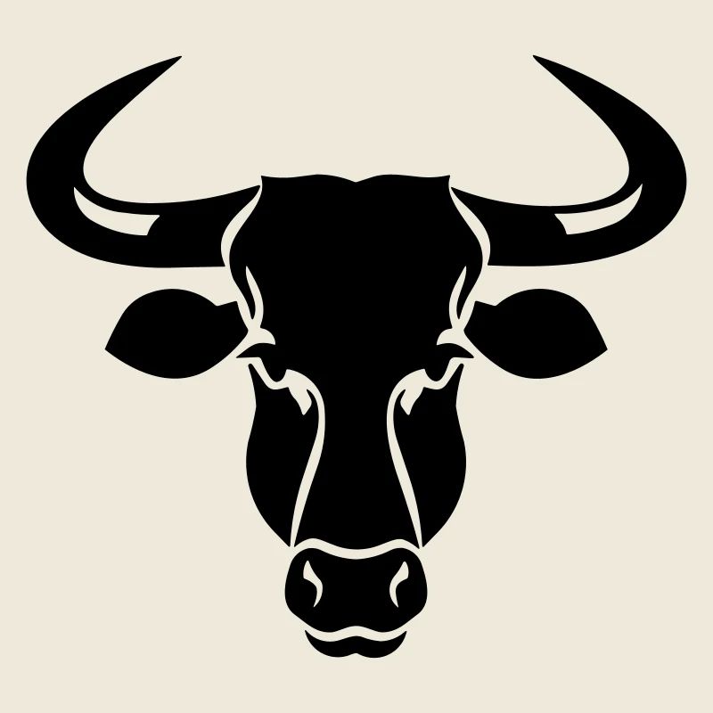 Stier