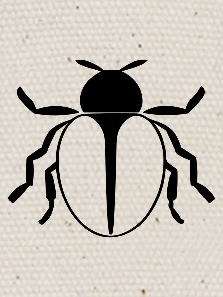 Ladybug