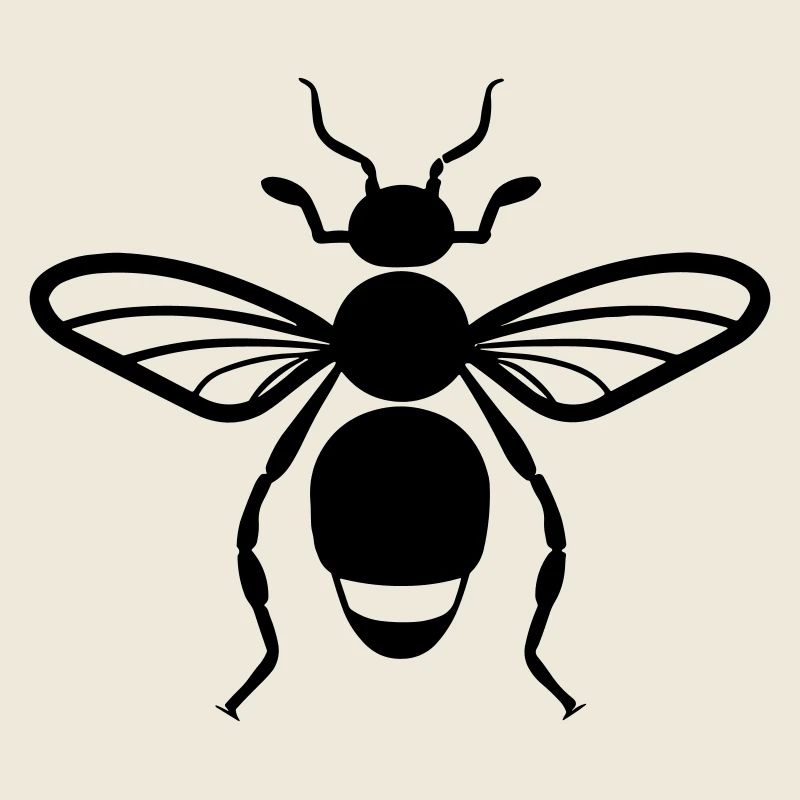 Insecte puce