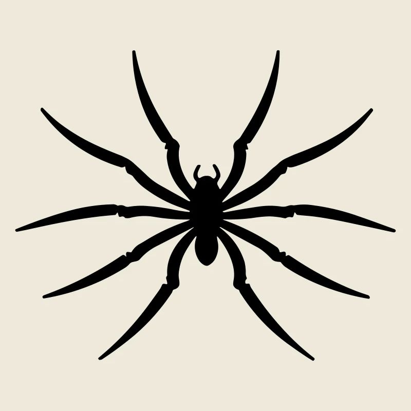 Spinne