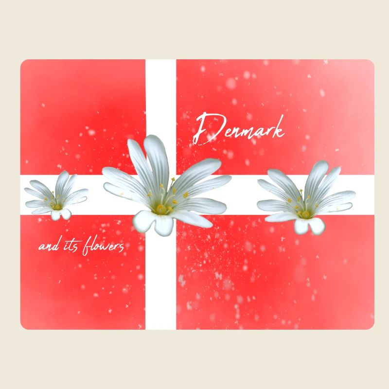 Danemark Danemark Danemark Drapeau