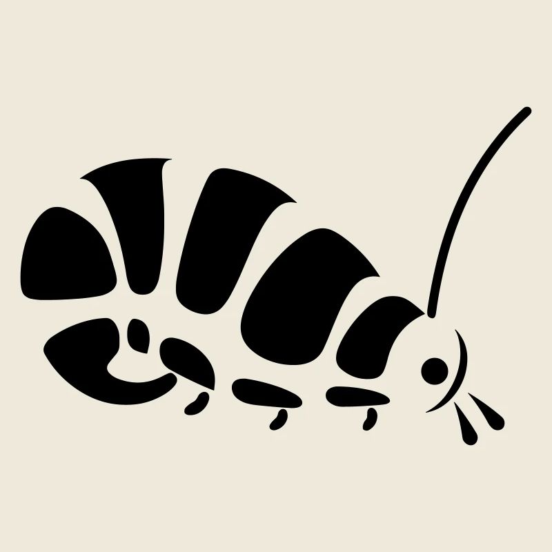 Raupe