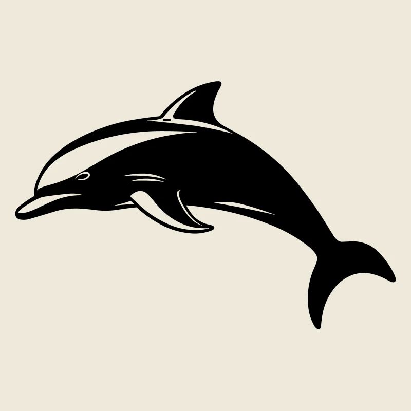 Bébé dauphin