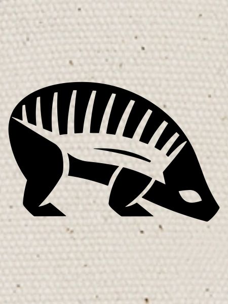 Armadillo