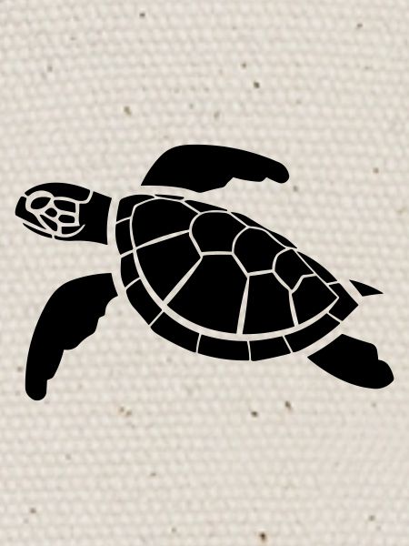tortoise