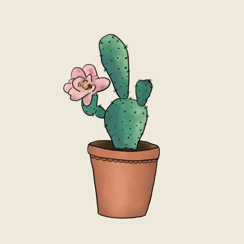 Kaktusblüte