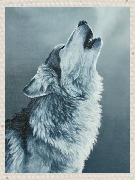 Grey Wolf