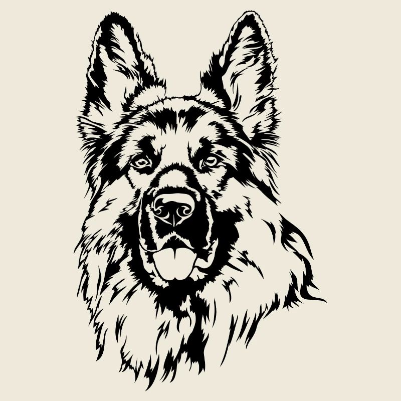 DEUTSCHER SCHÄFERHUND langhaar Wilsigns Hunde Hund