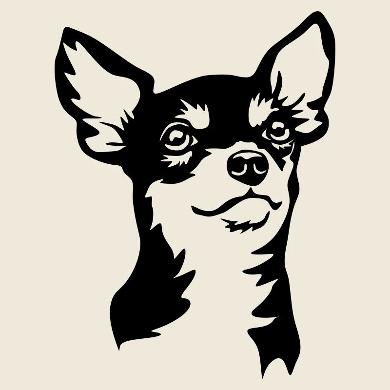 Chihuahua Kopf