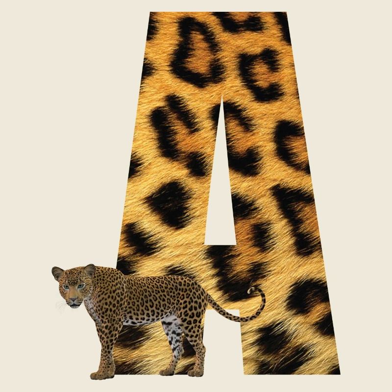 leopard a
