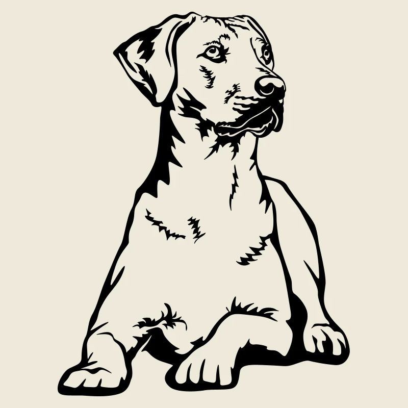 Rhodesian Ridgeback