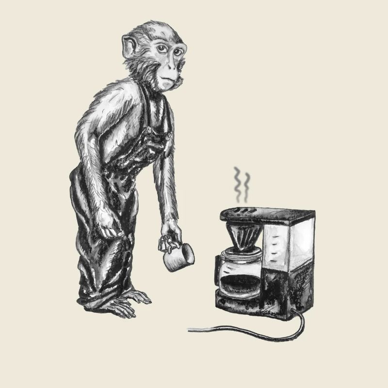 Affe und Kaffee