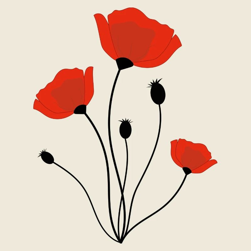 corn poppy