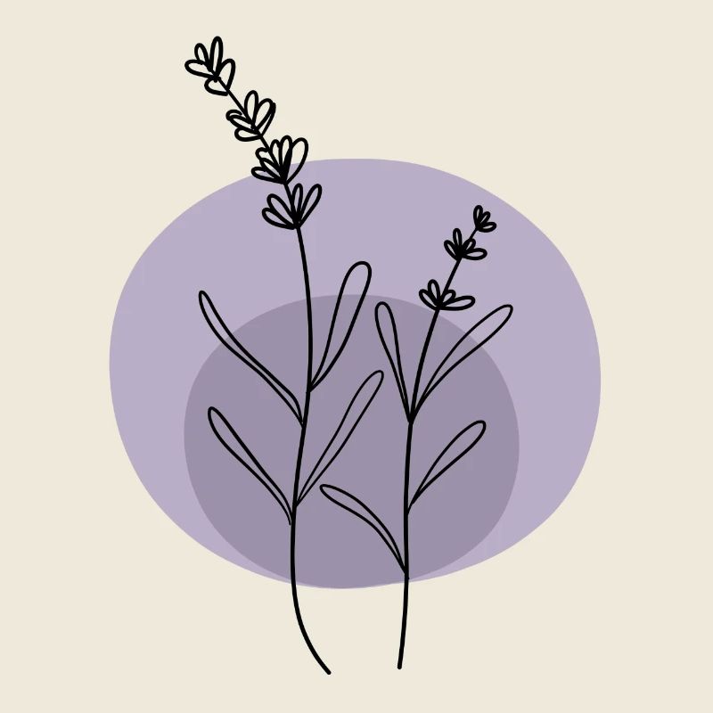 Lavendel schwarz lila