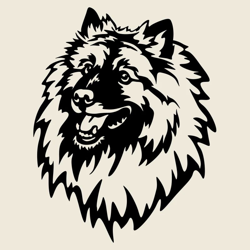 Wolfsspitz Kopf