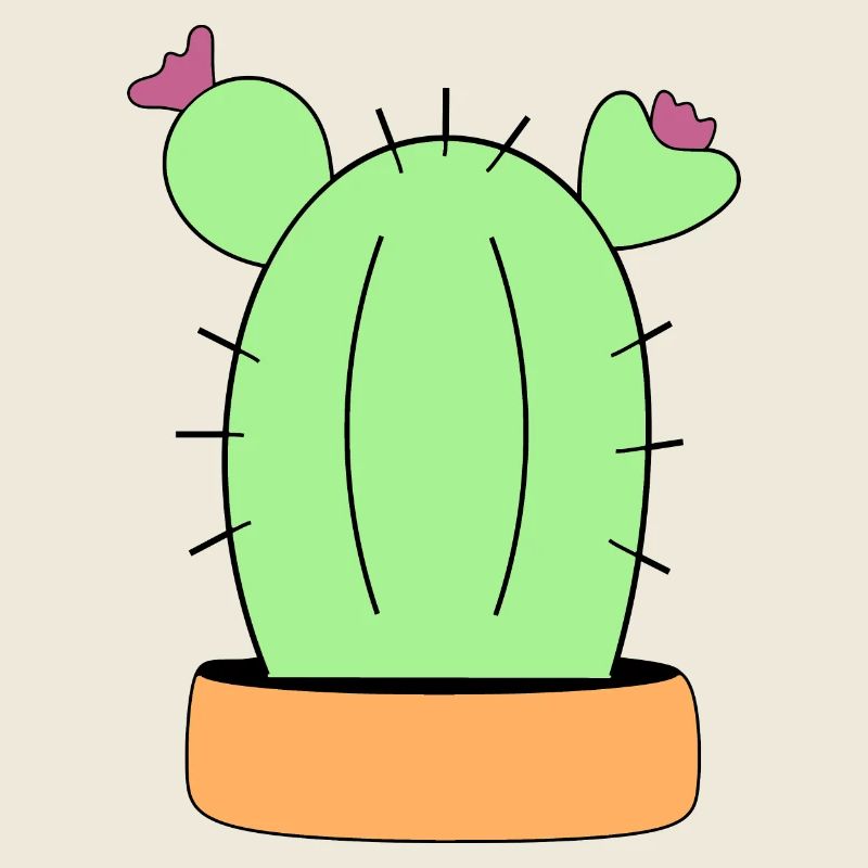 Cactus, cactus, plantes succulentes, plantes