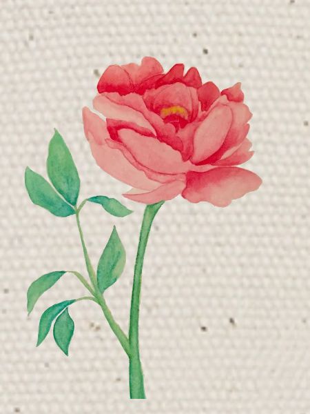 Peony