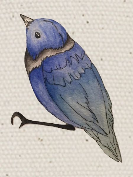 Oiseau