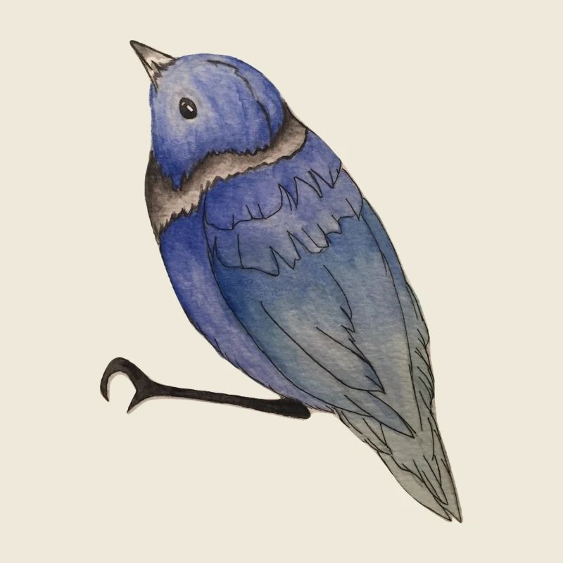 Vogel