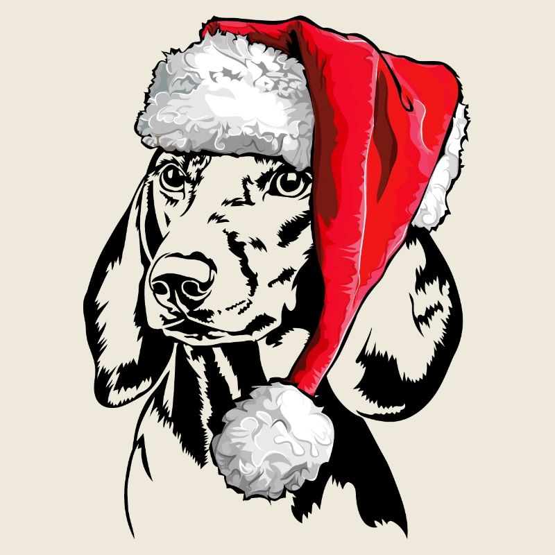 Santa Dachshund Teckel Chiens de Noël Wilsigns
