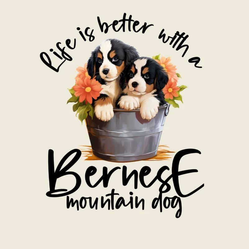 Bouvier bernois