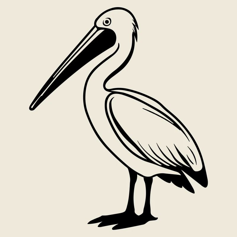 Pélican
