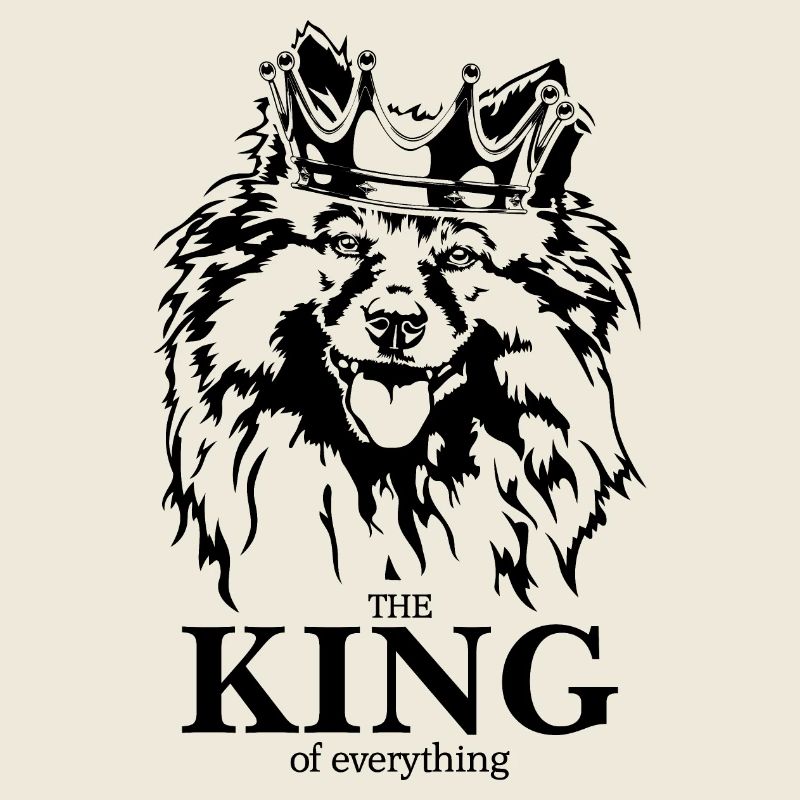 Wolfsspitz Keeshond King of everything Wilsigns