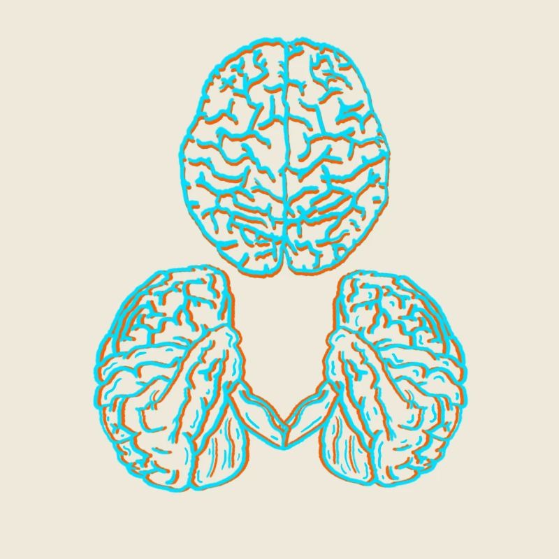 Cerveau
