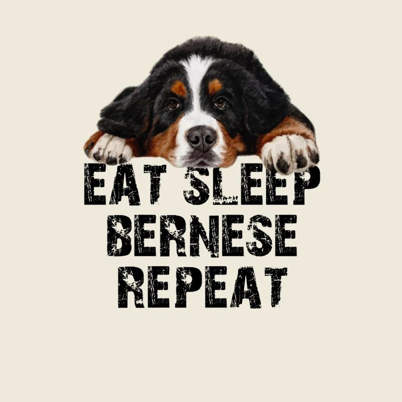 Berner Sennenhund