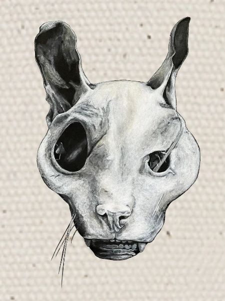 DIE GEISTERKATZE