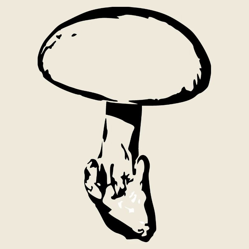 Champignon noir, cueillette de champignons