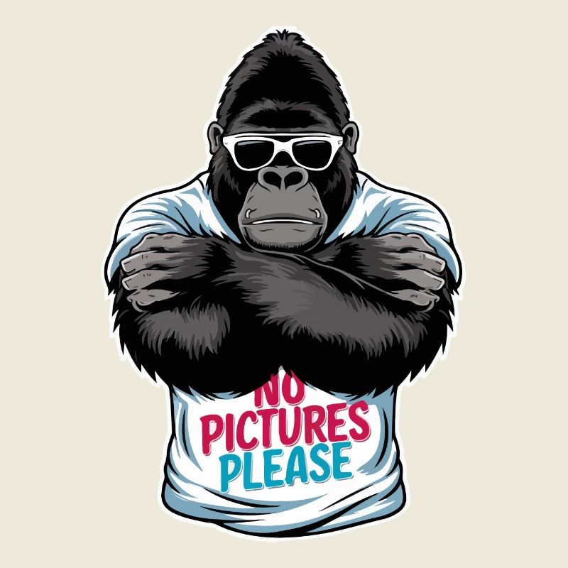 Pas de photos s’il vous plaît