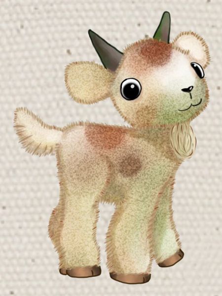 Chèvre naine