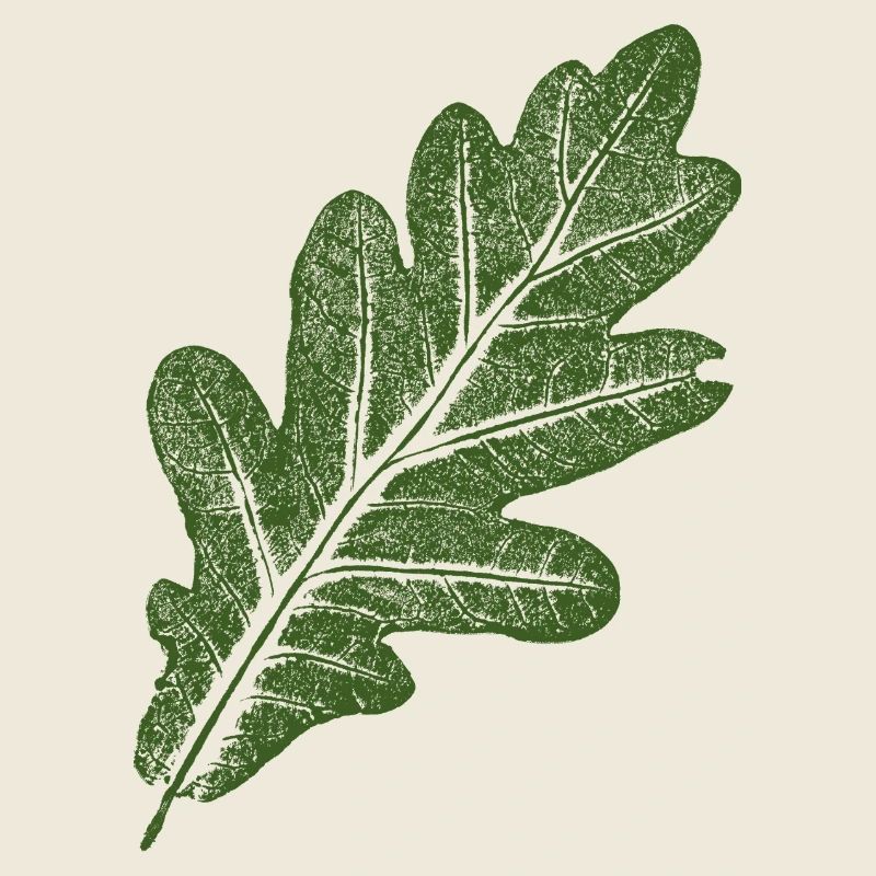 Feuille de chêne / Vert