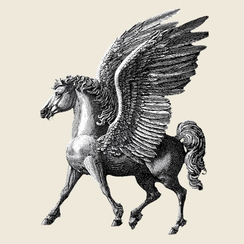 Winged Pegasus – Mythological Engraving