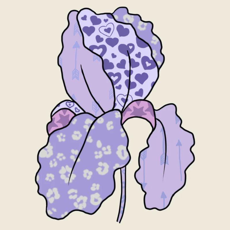 Bunte_Iris