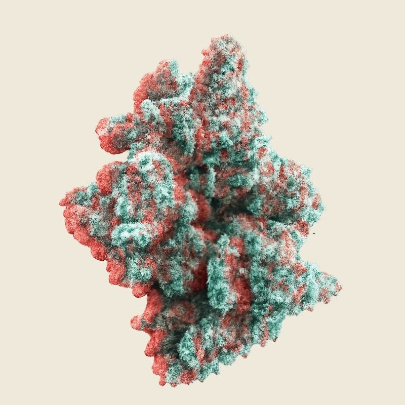 Cannabis Weed Bud 3D Anaglyph
