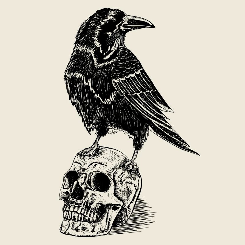 Raven and skull