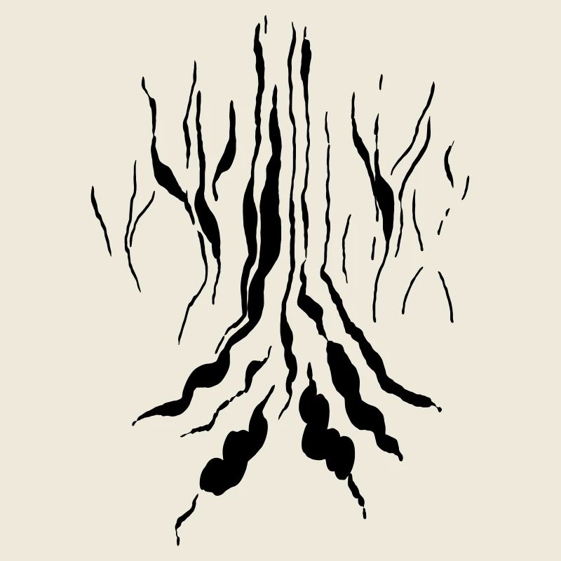 Magic forest