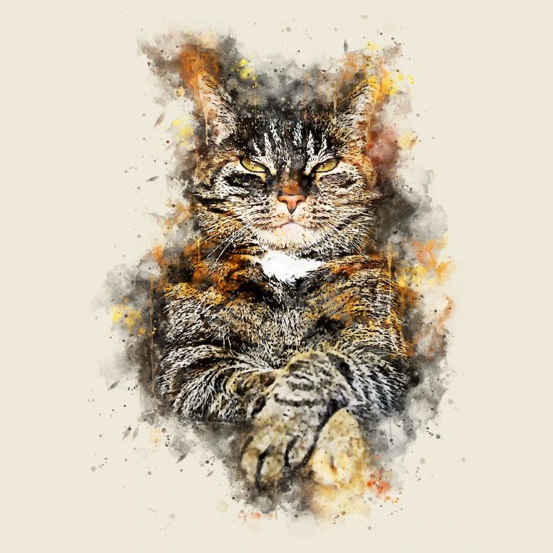 gxp chat chat comme un patron splatter aquarelle