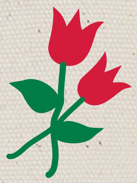 Tulpen